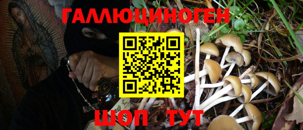 Псилоцибиновые грибы MAGIC MUSHROOMS Котовск