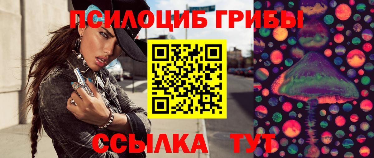Псилоцибиновые грибы MAGIC MUSHROOMS  Вход с VPN  Котовск 